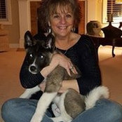 Tammy Torok's photo