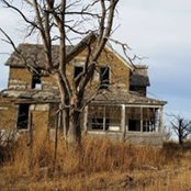 Donita Stegman's photo