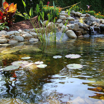 Water Features
