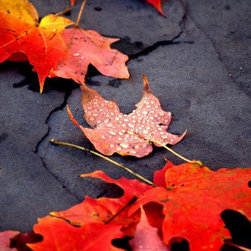 Photo Catalog - Landscape samples - Products