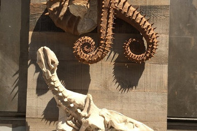 Ancient Fossil Kracken