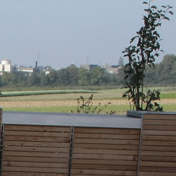 Moderner Garten am Stadtrand