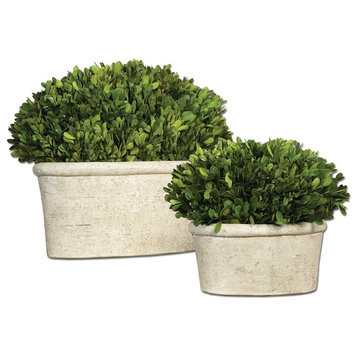 Oval Domes Preserved Boxwood, Set of 2 By Designer Constance Lael-Linyard