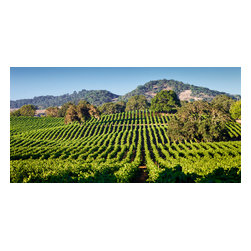 Douglas Page Photographic Arts - Wine Country Vineyards, Canvas Giclee, 32"x16" - Prints And Posters