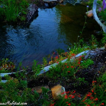 Stream in a garden landscape