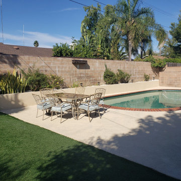 Backyard clean up and remodel