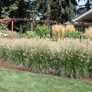 Grasses and Movement