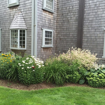 Dappled Border