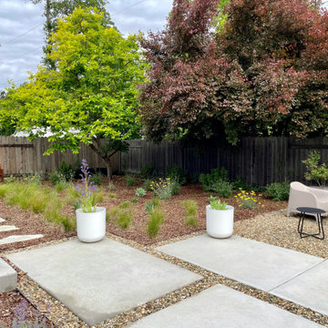 Modern Backyard Makeover
