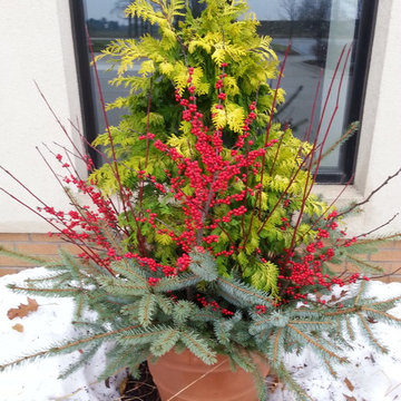 Winter Container Gardens