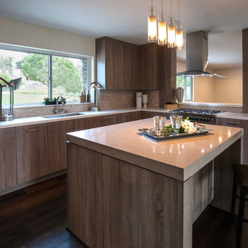 Contemporary Kitchen