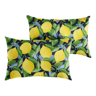 https://st.hzcdn.com/fimgs/5041c95e0fc669ad_7741-w320-h320-b1-p10--farmhouse-outdoor-cushions-and-pillows.jpg