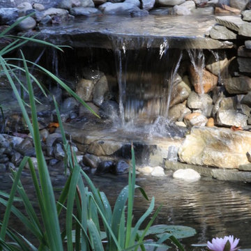 Ponds