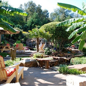 Tropical garden oasis