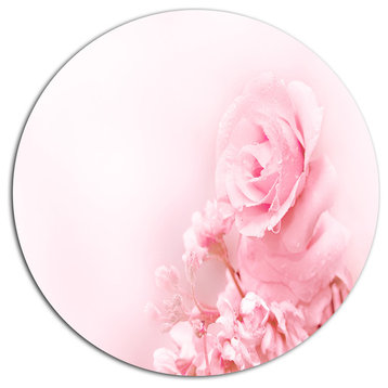Beautiful Rose In Magic Light, Portrait Disc Metal Wall Art, 36"