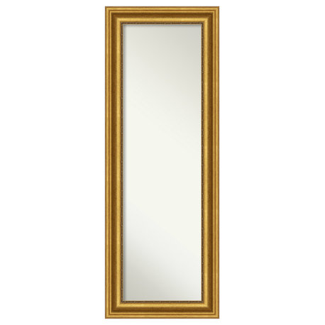 Parlor Gold Non-Beveled Full Length On the Door Mirror - 19.75 x 53.75 in.