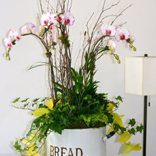 Decor And Vignettes