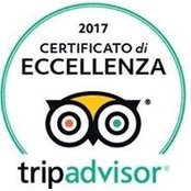 Assunta Roma's photo