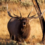 John Weiss's photo