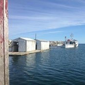 Michel Robicheau's photo