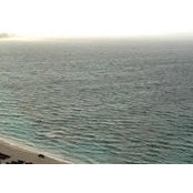 Calvin Lee's photo