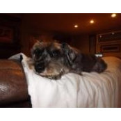Jan Giroux's photo