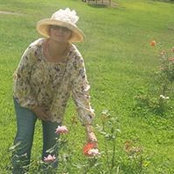 Foto von Lois Smallman