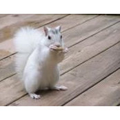 Melissa Hamilton's photo