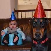 Lisa McIntyre's photo