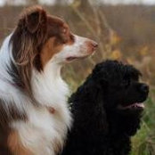 Nancy Ivan's photo