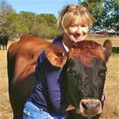 Debbie Lincolns foto