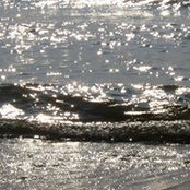 Mindy Madden's photo