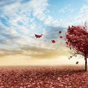 Lauren Lesho's photo