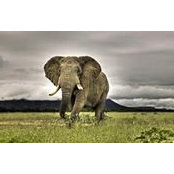 Cyndi Hubach's photo