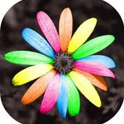 Lucy Irving's photo