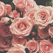 Jessica Twomey's photo