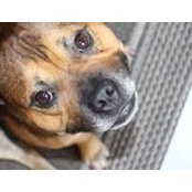 Trina Mcleod's photo
