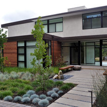 frontyard planting