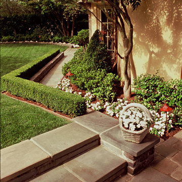 Piedmont Tudor