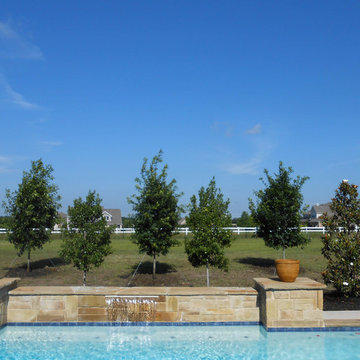 Poolside Landscapes