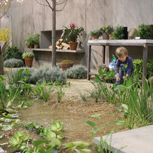 water garden