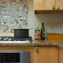 Fish Backsplash