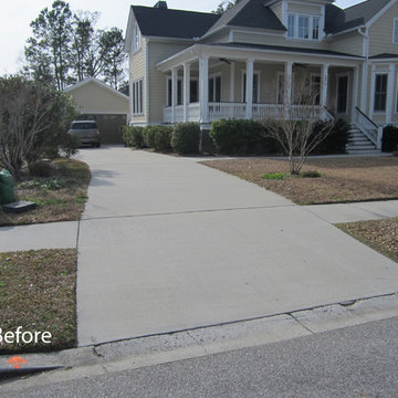 Landscape Upgrade in Mt. Pleasant