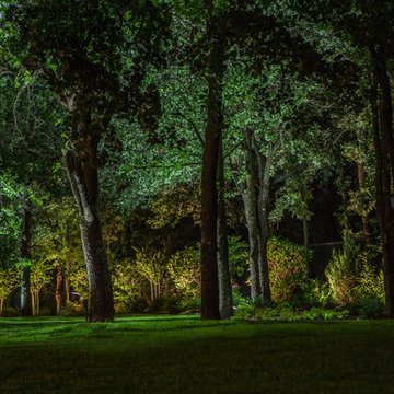 Low Voltage Up Lighting and Moon Lighting- Southlake