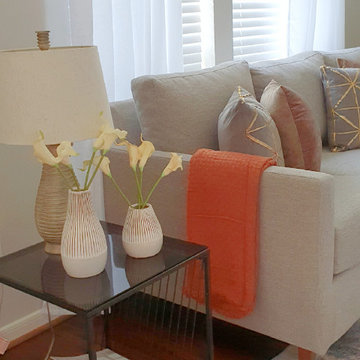 Riverstone Living Room Upgrade (In Progress)