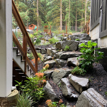 Layered Garden in the Woods