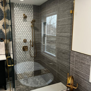 Carol Stream Master Bathroom