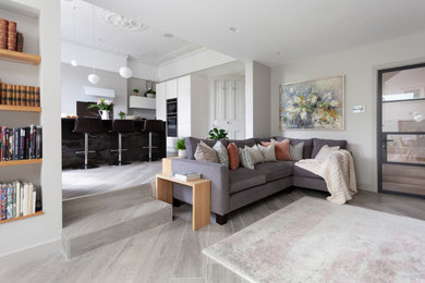 This is an example of a large scandinavian open plan living room in Other with a ribbon fireplace and a concealed tv.