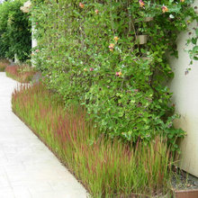 Old Garden