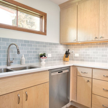 Project 3835-1 NE Minneapolis Mid-Century Modern Kitchen, Dining, and Bathroom